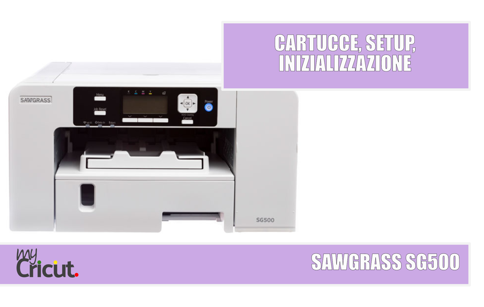 stampante sawgrass sg500